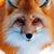 Crystle Marie June Swinford's profile image