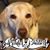 Char Knop Thelen's profile image