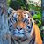 Kelle Wiseman's profile image