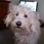 Jeremiah Johnson's profile image