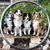 Deborah Divich's profile image
