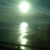 Lisa Marie Ientile's profile image