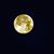 Ann Spegal's profile image