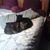 Debra Holley's profile image