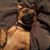 Jada Fletcher-Royer's profile image