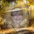 Ellen Jalbert Simard's profile image