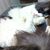 Terri Gleichman's profile image