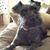 Teresa Scherbing's profile image