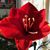 Barbara Cherem's profile image