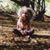 Jerrilynn Justus Thongsonthae's profile image