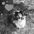 Connie Socash's profile image