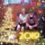 Sandy Grainger's profile image