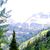 Linda MacIlwaine's profile image