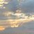 Karen Barrish Morgan's profile image