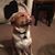 Omar Morales's profile image