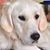 Linda Hays's profile image