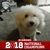 Whitney Roop's profile image