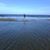 Tom Claggett's profile image