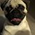 Samantha Monday's profile image
