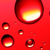 PinchTopic M.'s profile image