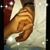 Laura LeDoux Avery's profile image