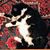 Beth Deuel's profile image