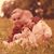 Vedran Miljan's profile image