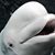 Dale Schutte's profile image