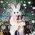 Thanh Kim Le's profile image