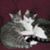 Janet Szymaszek's profile image