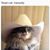 Raelene Lawrence's profile image