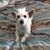Liesa Ruff Brown's profile image