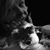 Gena Hodge Knighten's profile image
