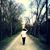 C-Bear LaRonde's profile image