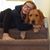 Erin Gleason Sexton's profile image