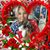 Carolyn Harty's profile image