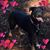 Michele Haymond's profile image