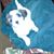Kathy Ockenfels's profile image
