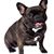 Jane Isaacs's profile image