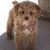 Wendy L Spencer's profile image