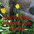 Tommie Jasper Barnes's profile image