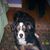 Doreen Guernsey's profile image