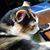 Brenda Lee Kaiserman's profile image