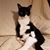 Stella Varnell's profile image