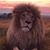 Daniel Fuentes Flores's profile image