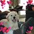 Mary Jo Harry's profile image