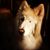 Sally Braybrooks's profile image