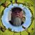 Robert Taylor's profile image