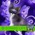 Leanette Marten's profile image