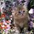 Danna Rivas's profile image
